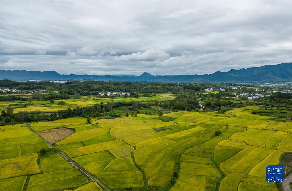 永利银河登录
