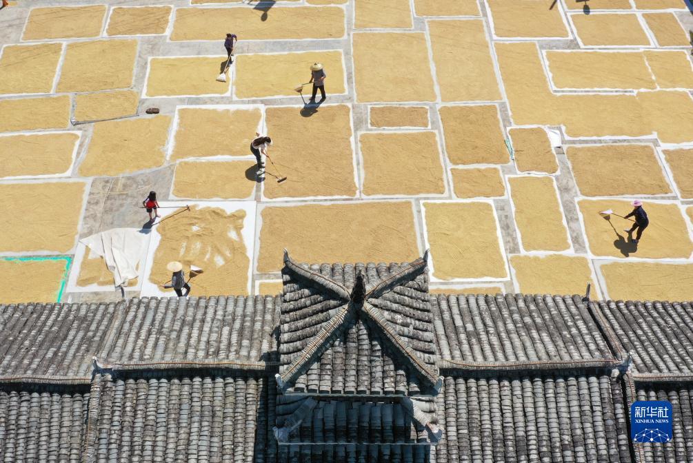微信怎么免费领100元